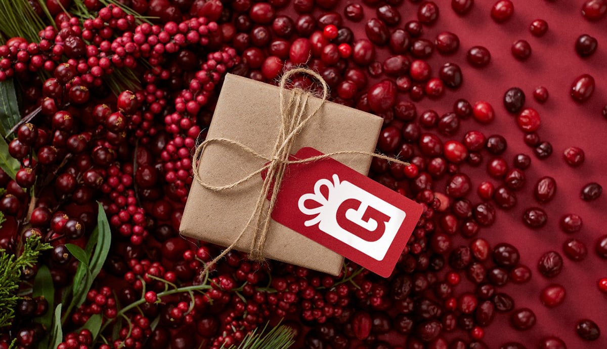 Garmin Holiday Gift Guide