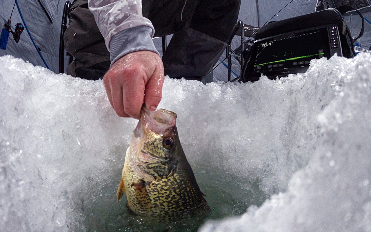 Someone holding a fish in a fishing hole. An ice fishing bundle is in the right corner.